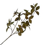 FALL SPRAY BEECH ELM 35″ RUST BROWN DRIED LOOK LEAF