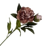 FALL STEM PEONY 27″ DUSTY MAUVE PINK BLOOM BUD VINTAGE