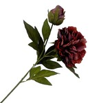 FALL STEM PEONY 27″ DEEP BURGUNDY RED BLOOM BUD VINTAGE