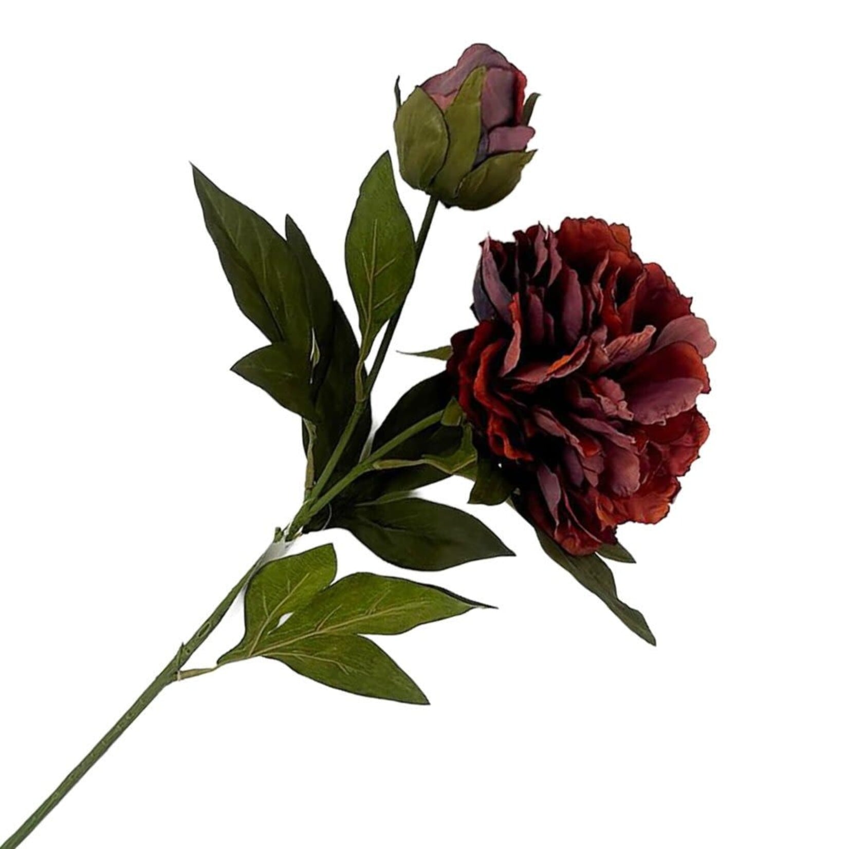 FALL STEM PEONY 27″ DEEP BURGUNDY RED BLOOM BUD VINTAGE
