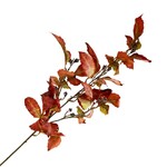 FALL SPRAY BEECH ELM 35″ RED ORANGE AUTUMN LEAF BRANCH