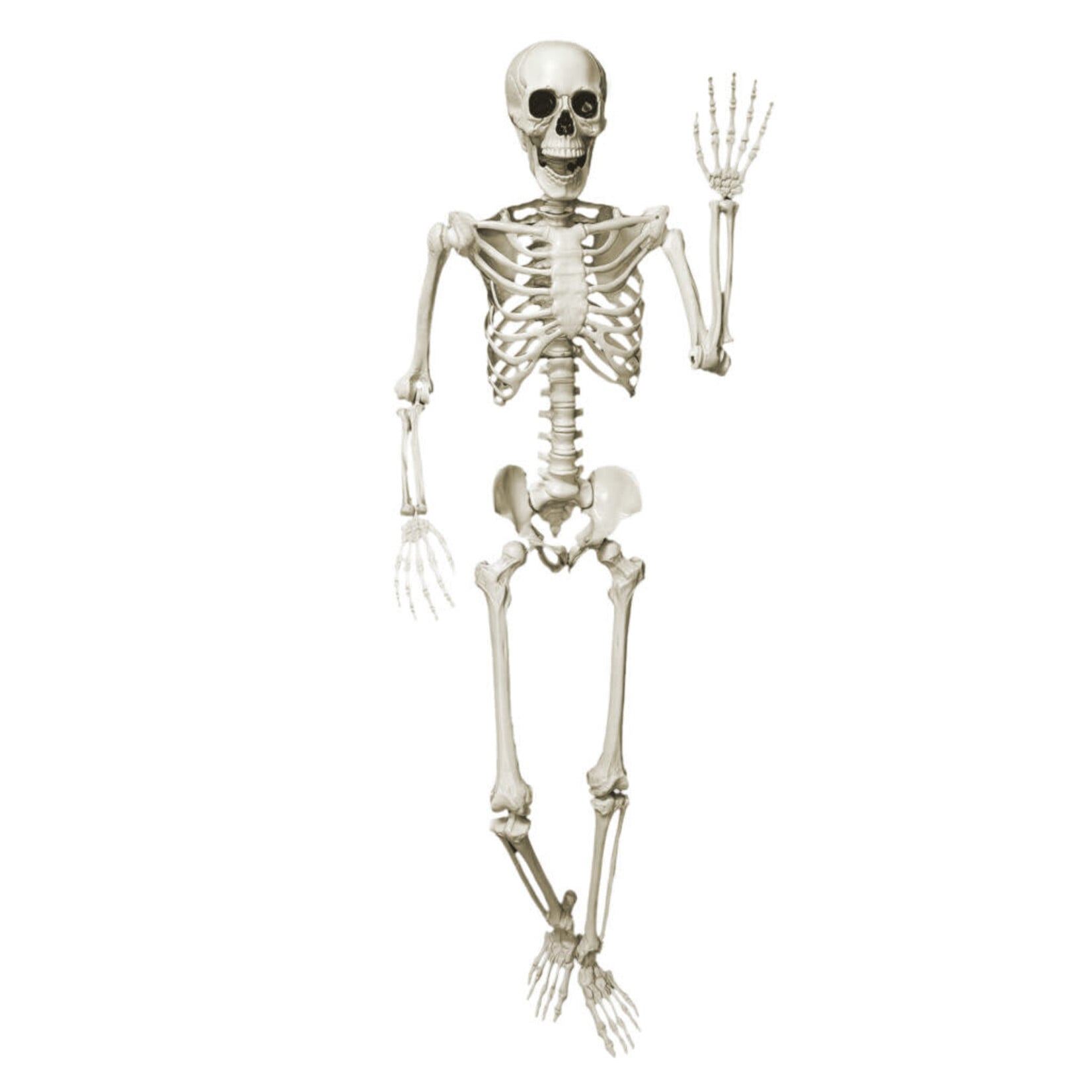 HALLOWEEN POSABLE HANGING SKELETON 60"