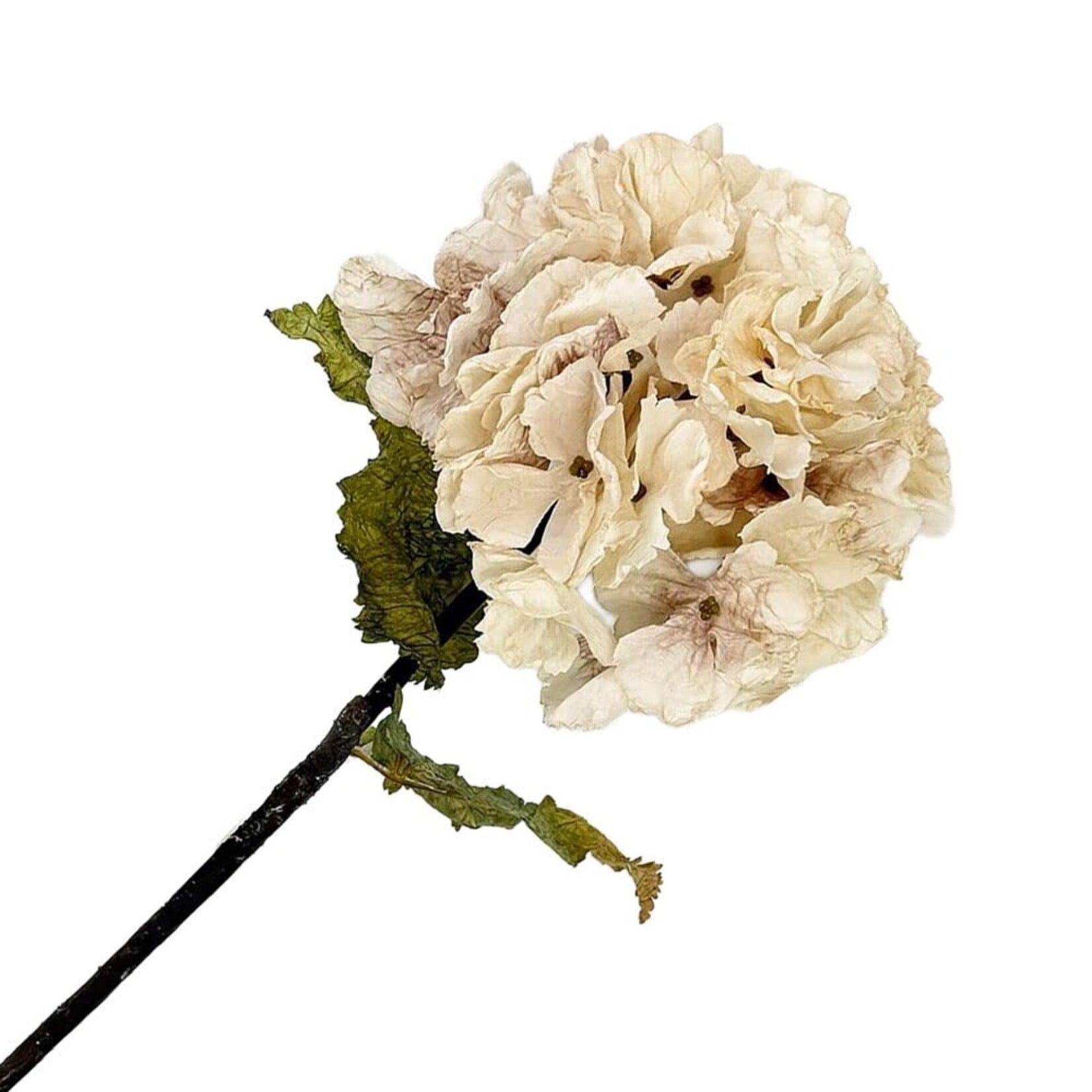 Fall Stem Hydrangea Dried Look Cream White 22"