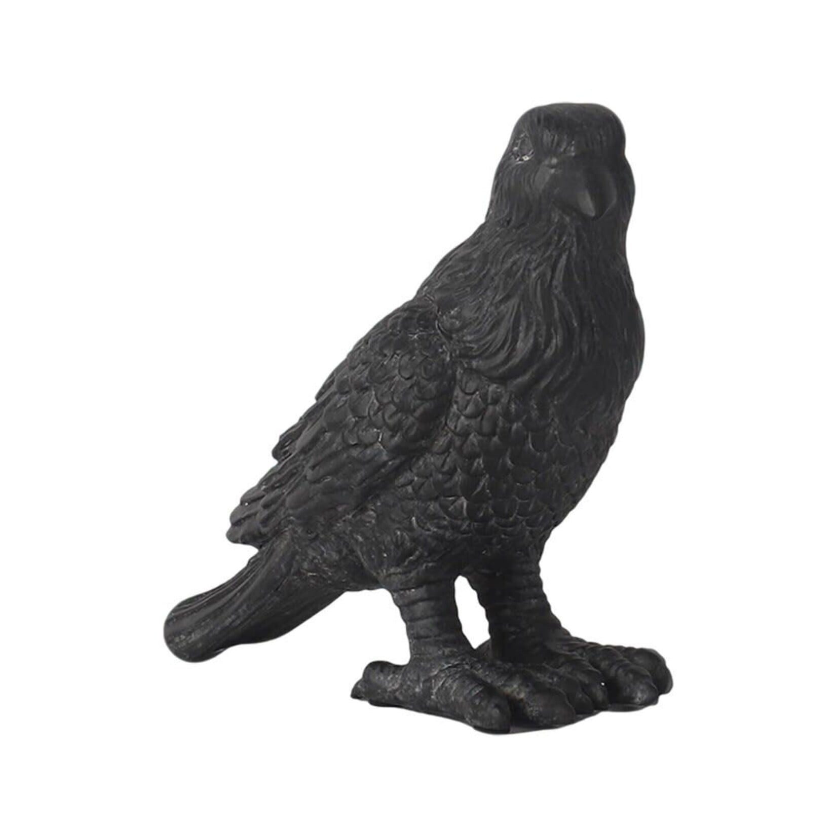 CROW 7"X7" BLACK POLYRESIN