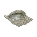 Shell Planter