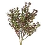 Leaf Spray