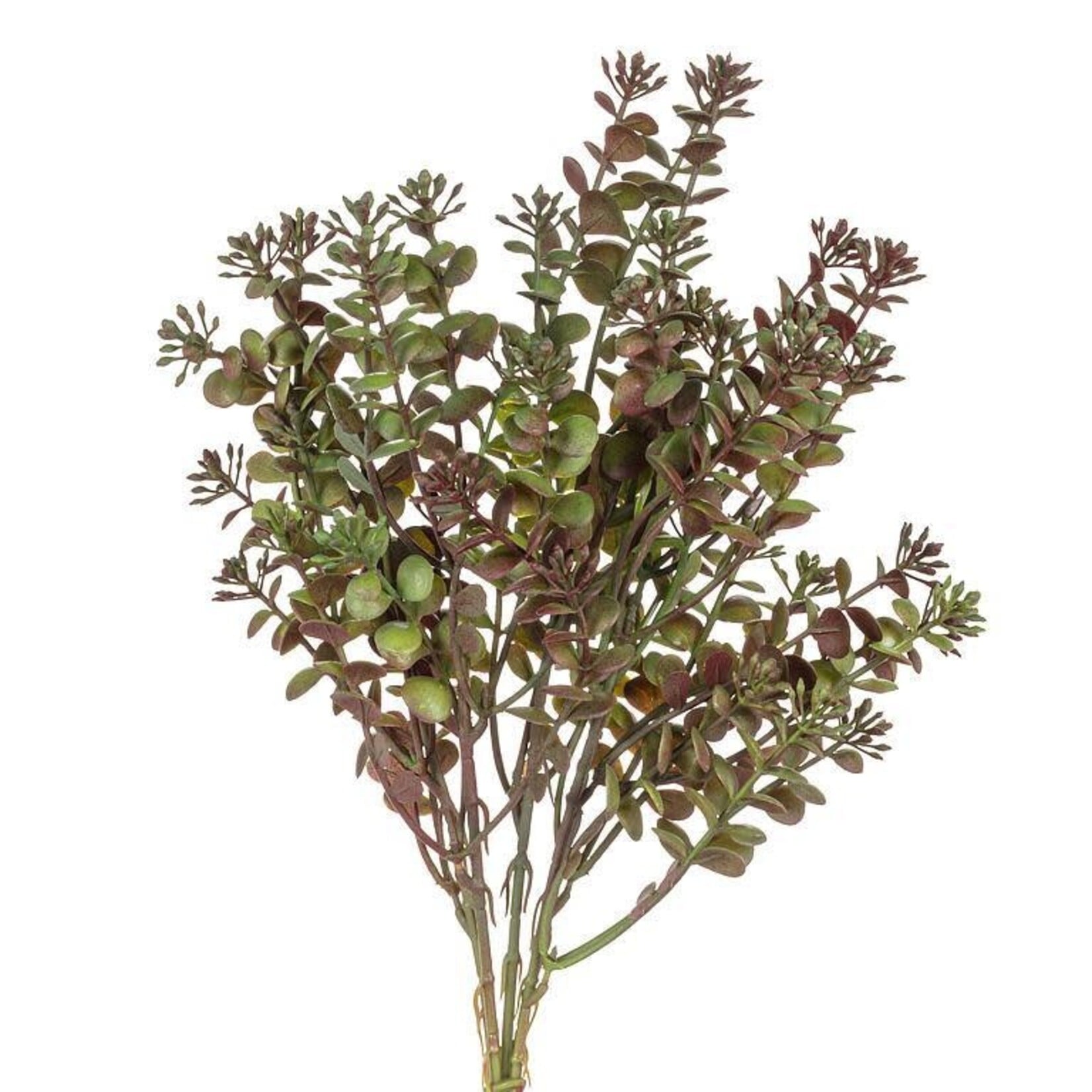 Leaf Spray