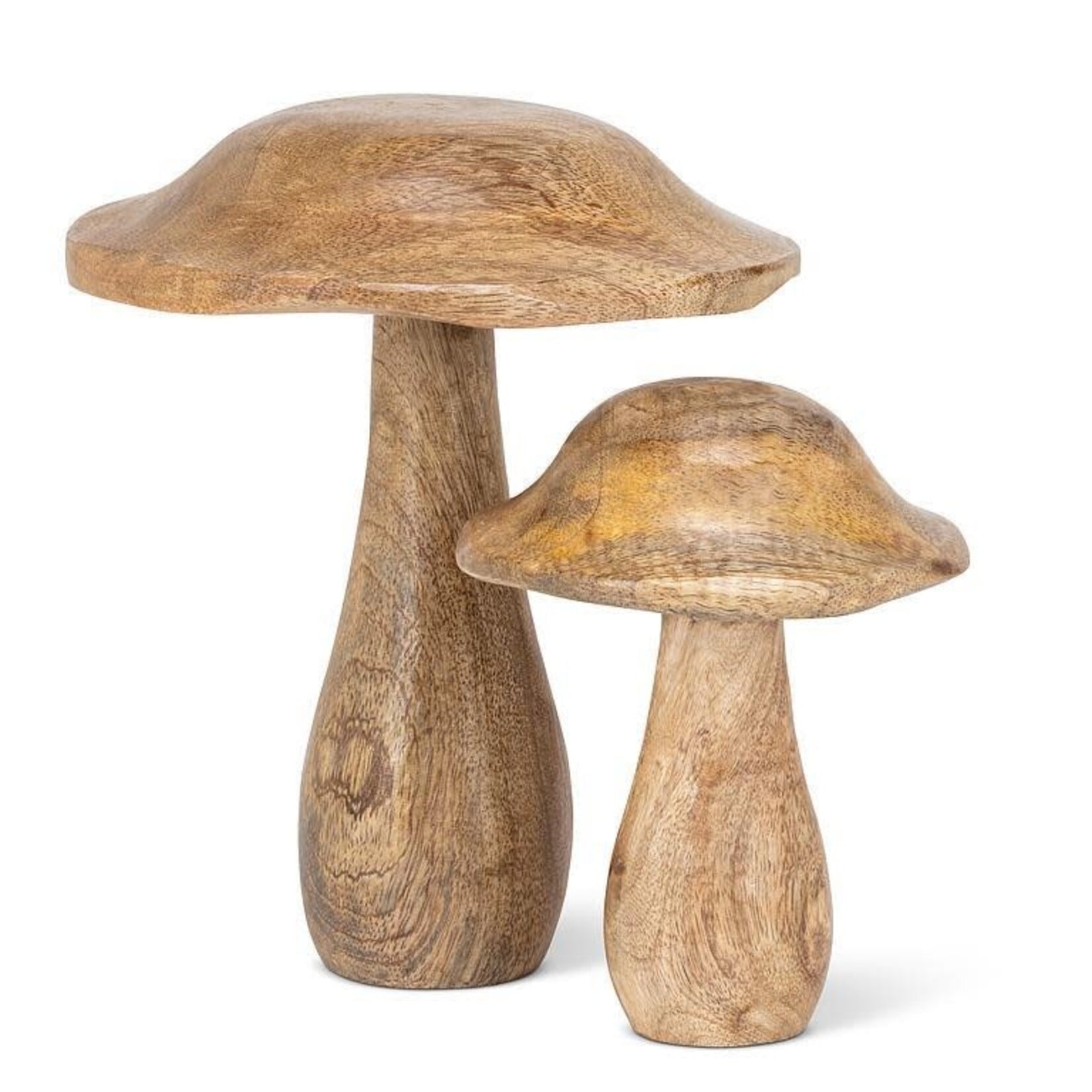 Small Mushroom with Wavy Cap