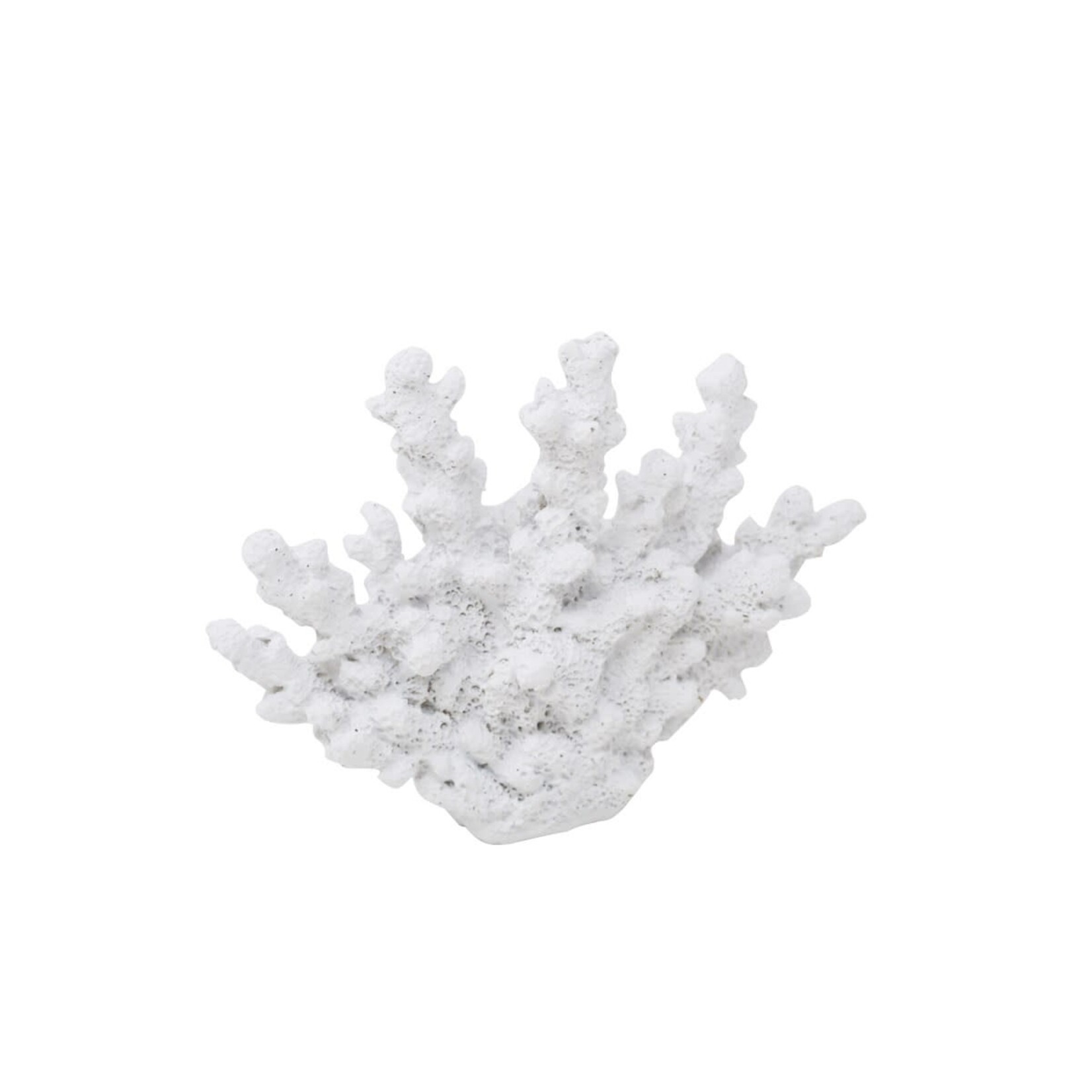 Coral Tree - White