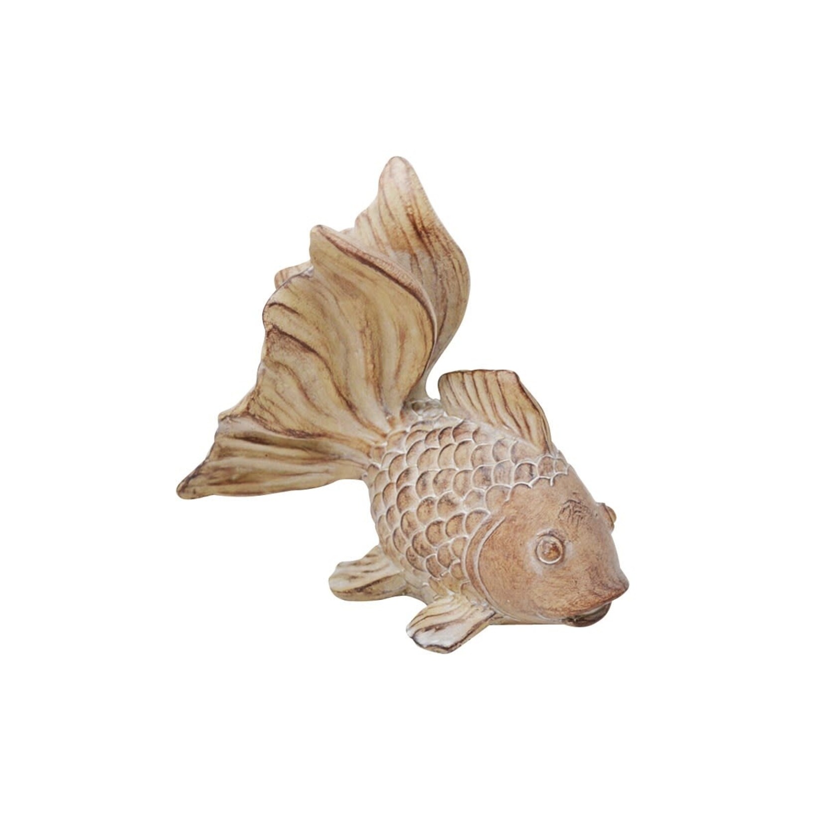 FISH RYUKIN