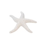 Starfish White
