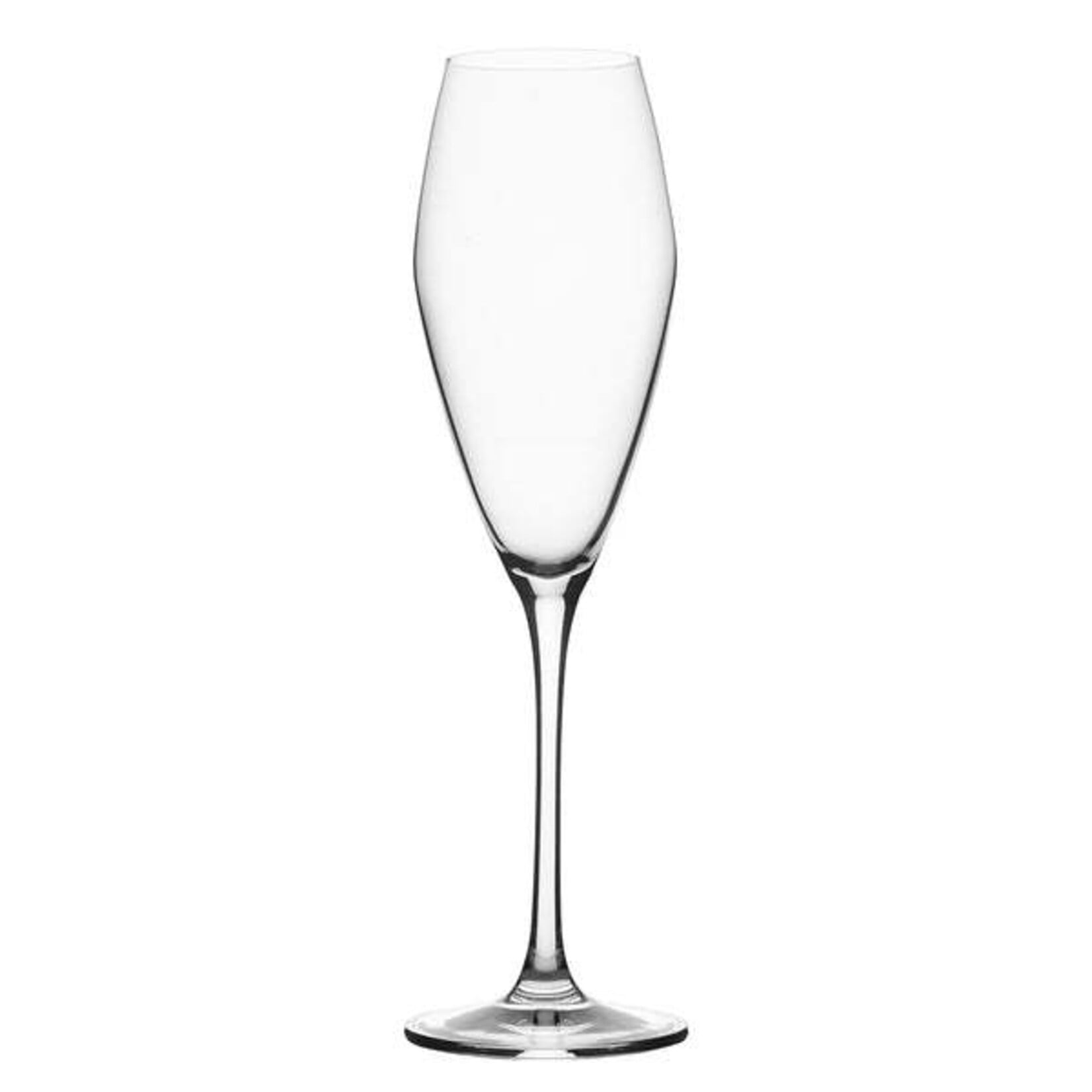 Levante Champagne Flute 272ml (9oz) Set of 2