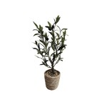 Artificial Olive Plant in 4.5"D Jute Pot, 16"H