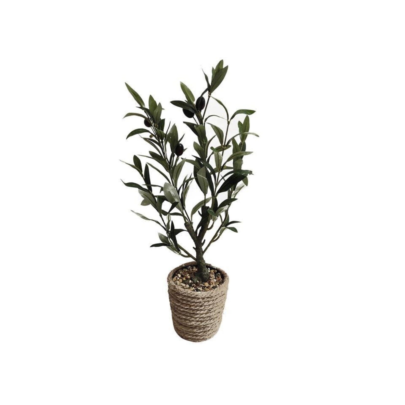 Artificial Olive Plant in 4.5"D Jute Pot, 16"H