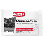 HAMMER NUTRITION Hammer ENDUROLYTES /4 capsule packet