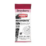 HAMMER NUTRITION Hammer RECOVERITE/Strawberry/1.76oz