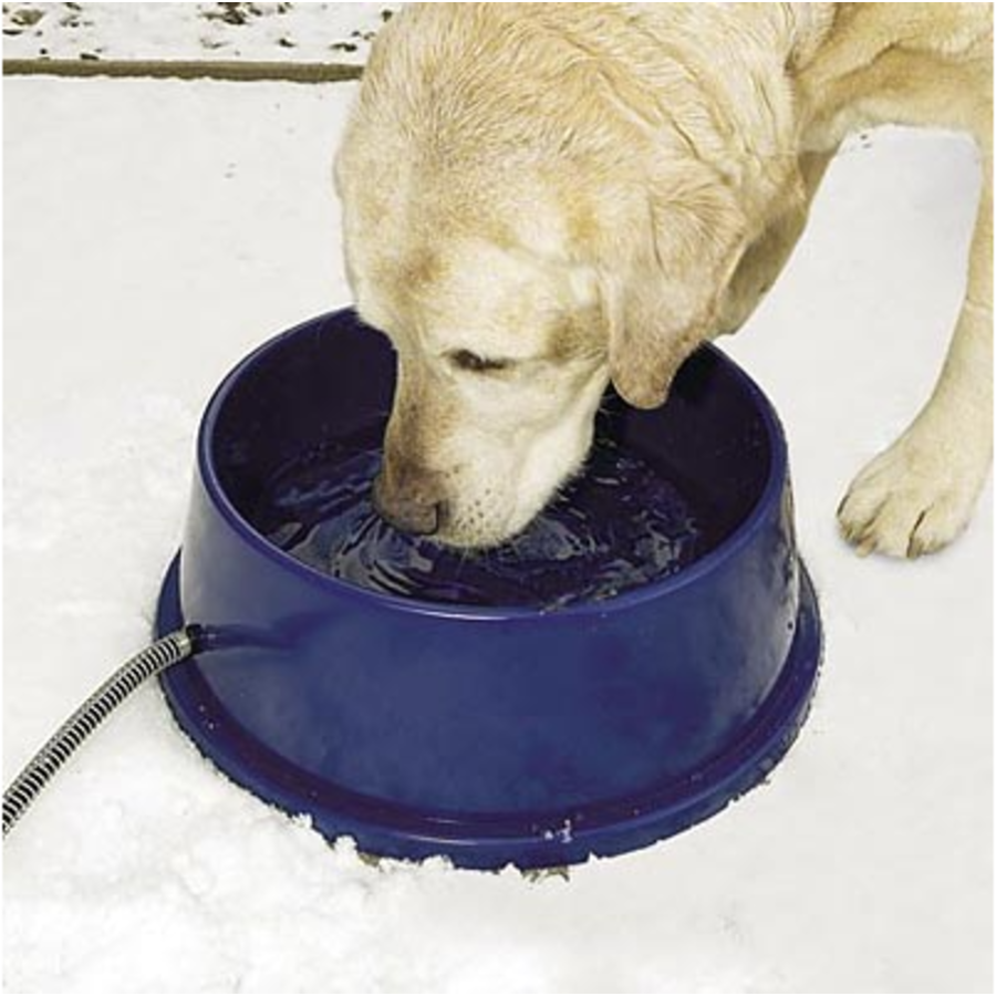Heated Pet Thermal Bowl 25 Watt