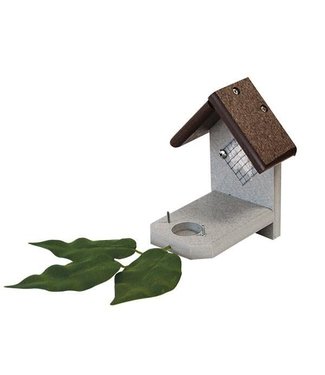 Hummingbird Nesting Platform