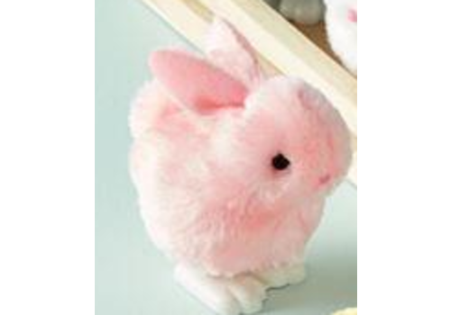  Mud Pie Wind Up Toy 