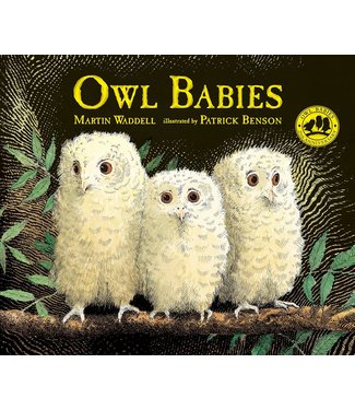 Owl Babies Book