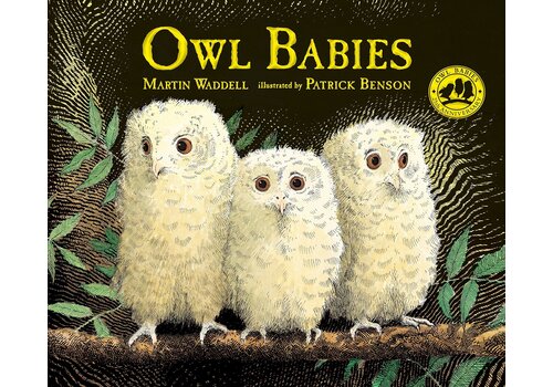  Owl Babies Book 