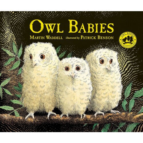  Owl Babies Padded Board Book 