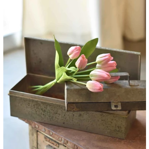  Pink Tulips 
