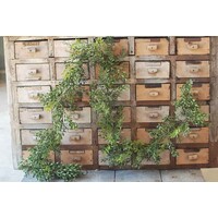 6' Boxwood Garland