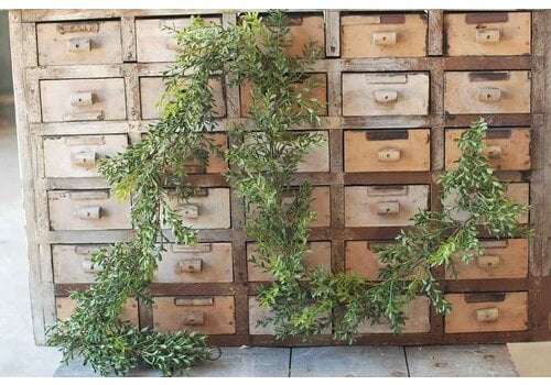  6' Boxwood Garland 