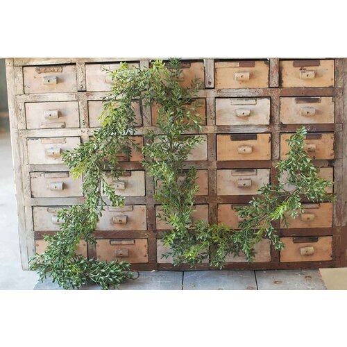  6' Boxwood Garland 