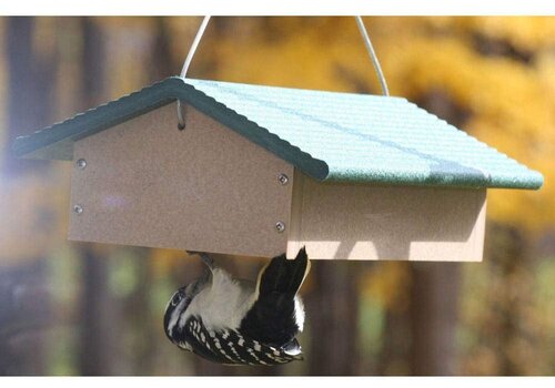  BC Double Upside Down Suet 
