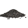 Lizzie Mae Bird Seed Premium Black Oil