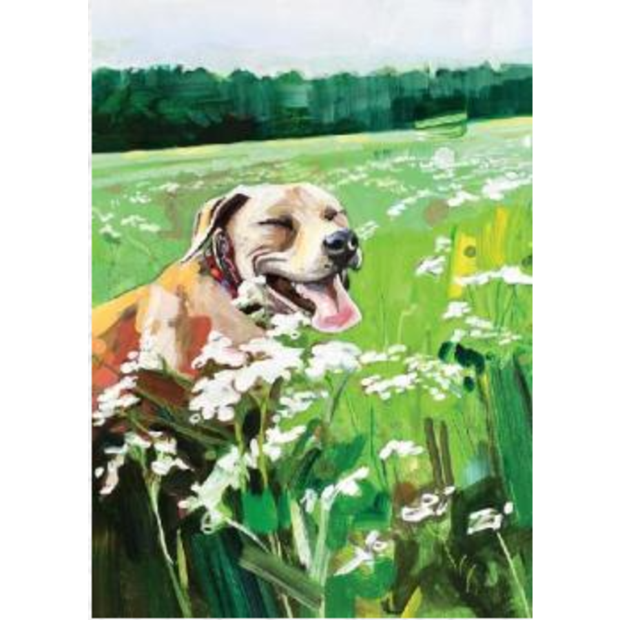 Smiling Dog BDayCard