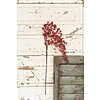 35" Weatherproof Berry Spray