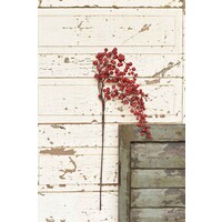 35" Weatherproof Berry Spray