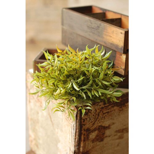  Smilax Brush Green 