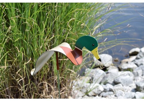  Florida Dancing Birds Mallard Duck Dancing Bird 