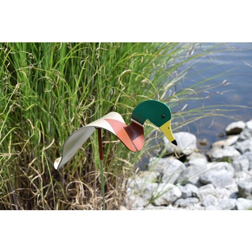  Florida Dancing Birds Mallard Duck Dancing Bird 