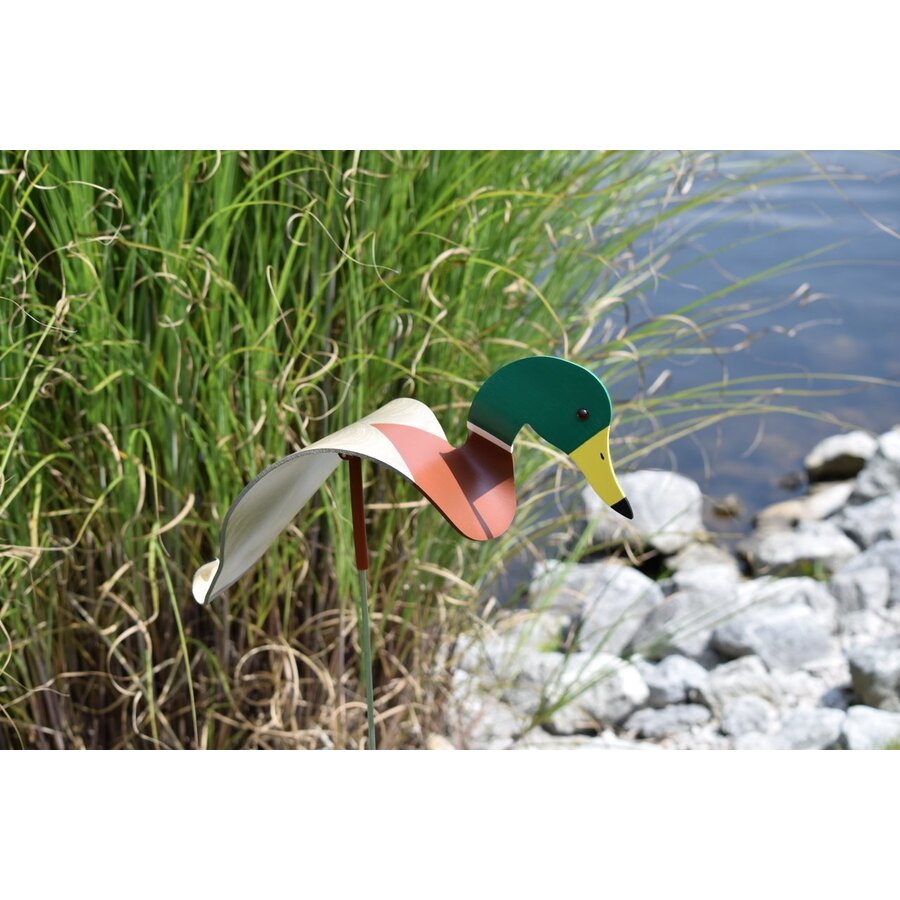 Mallard Duck Dancing Bird