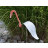Florida Dancing Birds Red Egret Florida Dancing Birds Red Egret