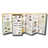 Earth sky water Common Bees of Eastern North America