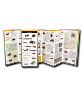 Earth sky water Bee Guide Pamphlet
