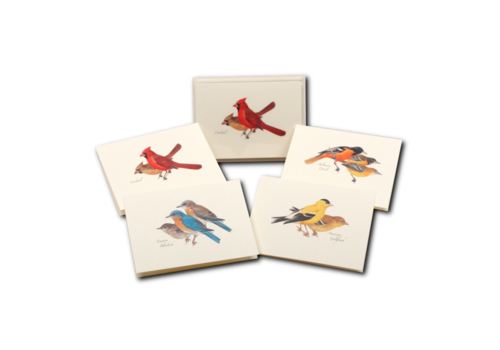  Earth sky water Peterson Bird Boxed Cards 