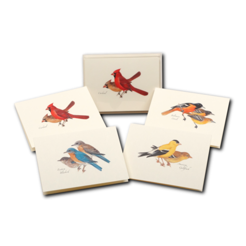  Earth sky water Peterson Bird Boxed Notecards 