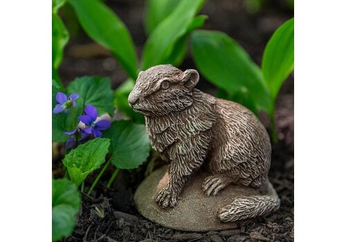  Campania International Chippy Cast Stone 