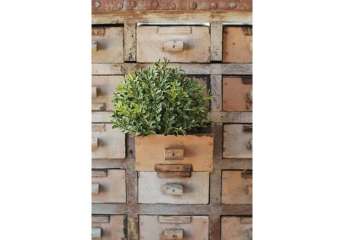  7" Boxwood Half Sphere 