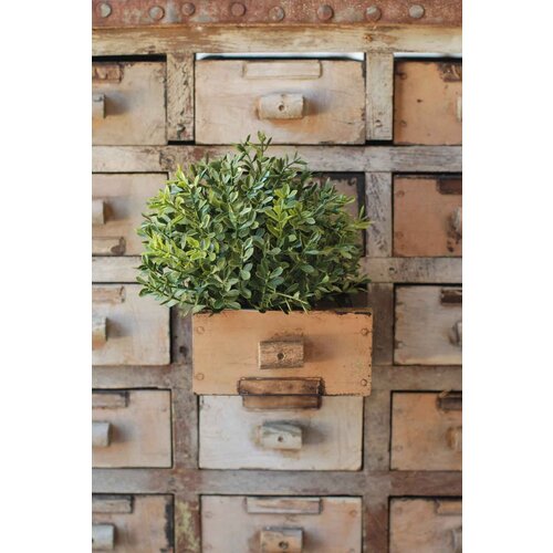  7" Boxwood Half Sphere 
