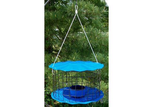 Meal Worm Feeder 