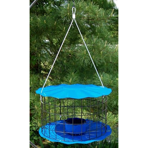  Meal Worm Feeder 
