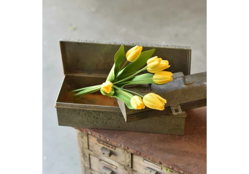  14.5" Yellow Tulips 